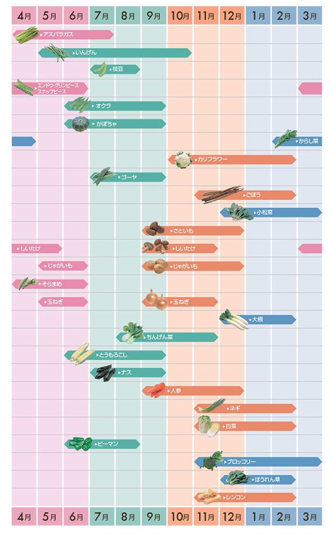 旬の野菜カレンダー 食材大百科 神栄株式会社 食品部 業務用冷凍食品のサプライヤー