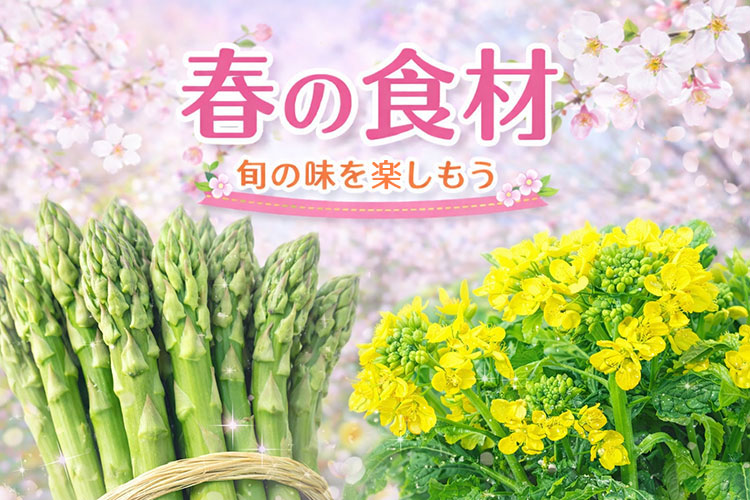 春の食材をご紹介